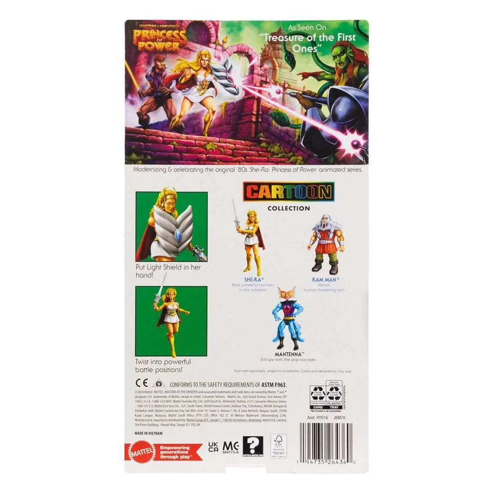 Masters of the Universe Origins Cartoon She-Ra 2025 US CARD - Smalltinytoystore