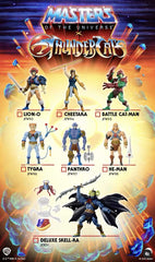 Masters of the Universe Thundercats Wave 2 Tygra - Smalltinytoystore