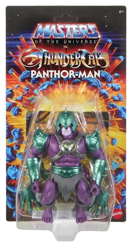 Masters of the Universe Thundercats Wave 3 Panthor Man