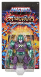 Masters of the Universe Thundercats Wave 3 Panthor Man