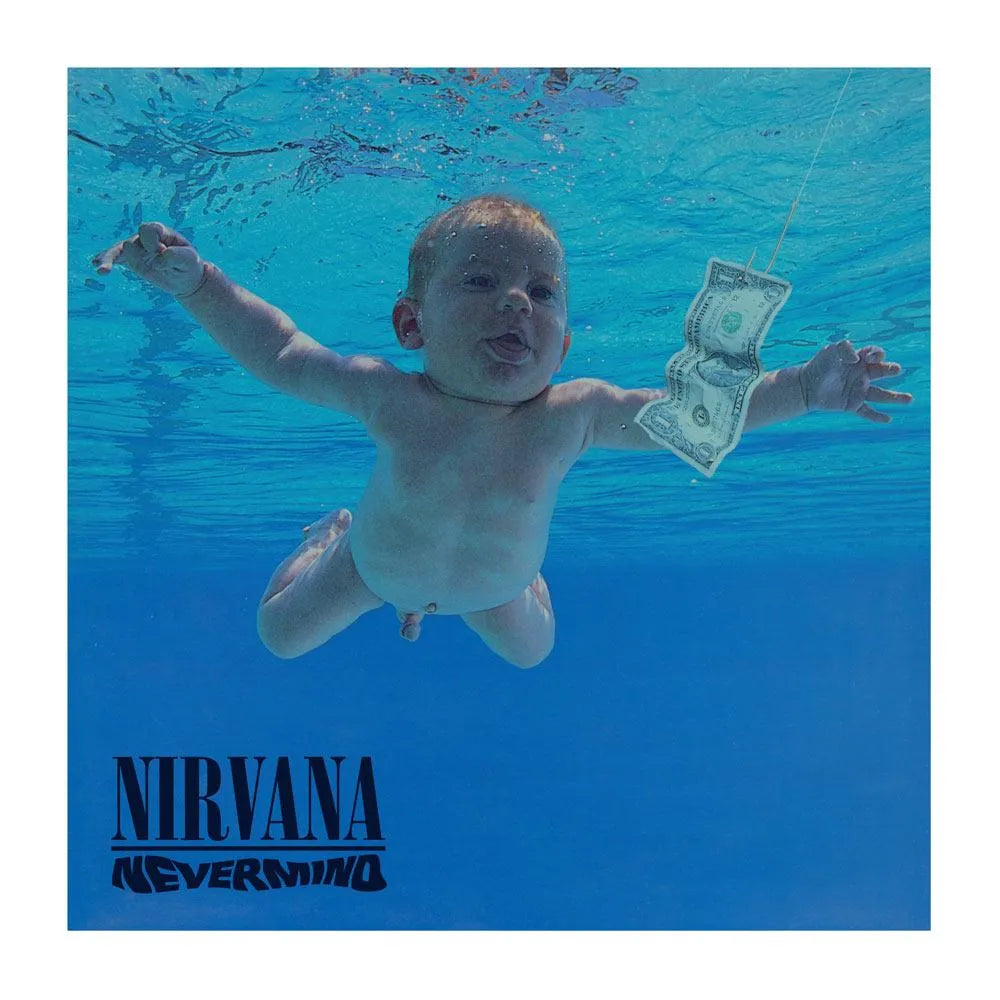 Nirvana Rock Saws Puzzle Nevermind (500 Teile) - Smalltinytoystore