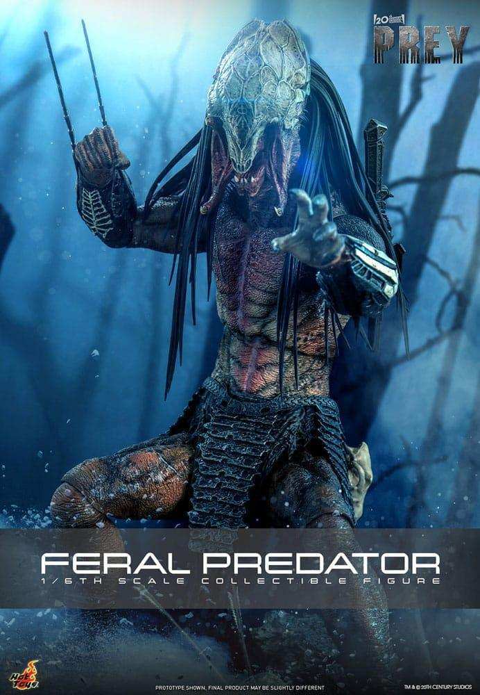 Prey Actionfigur 1/6 Feral Predator 37 cm HOT TOYS - Smalltinytoystore