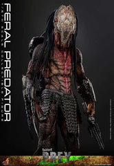 Prey Actionfigur 1/6 Feral Predator 37 cm - Smalltinytoystore