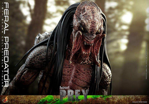 Prey Actionfigur 1/6 Feral Predator 37 cm - Smalltinytoystore