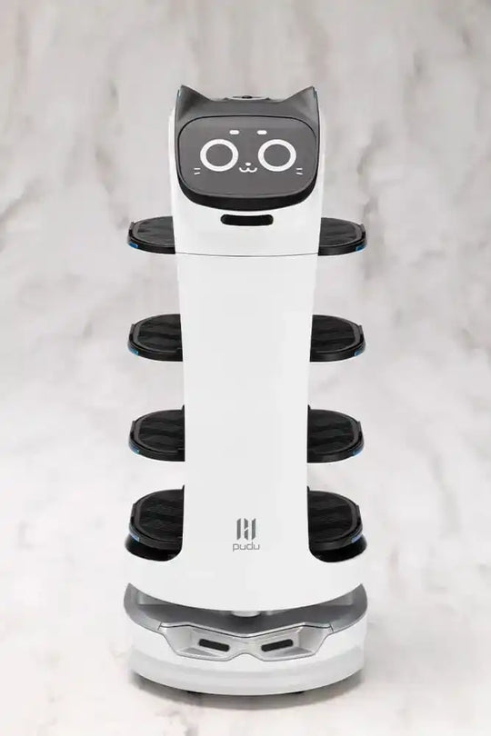 Pudu Robotics Grande Scale Plastic Model Kit BellaBot 19 cm