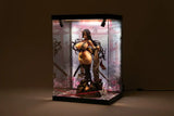 SHINSAI Acryl Display Case mit Beleuchtung Inbina Rasethuhime Saki M Edition 39 cm - Smalltinytoystore