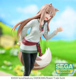 Spice and Wolf: Merchant meets the Wise Wolf PVC Statue Desktop x Decorate Collections Holo 16 cm - Smalltinytoystore