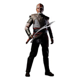 Star Trek: Picard Actionfigur 1/6 Worf 30 cm - Smalltinytoystore