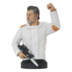 Star Wars: Andor Büste 1/6 Kino Loy 16 cm - Smalltinytoystore