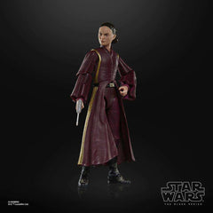 Star Wars Black Series Episode I Padmé Amidala 15 cm - Smalltinytoystore