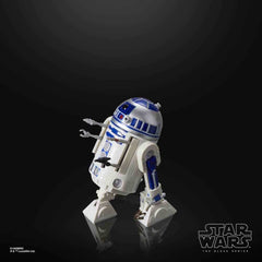 Star Wars Black Series The Mandalorian R2-D2 (Artoo-Detoo) 15 cm - Smalltinytoystore