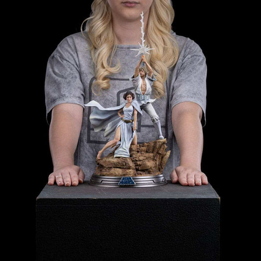 Star Wars Deluxe Art Scale Statue 1/10 Luke and Leia 41 cm - Smalltinytoystore