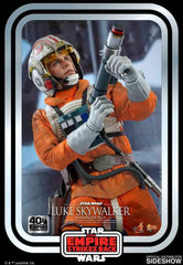 Star Wars Episode V Movie Masterpiece 1/6 Luke Skywalker (Snowspeeder Pilot) 28 cm - Smalltinytoystore