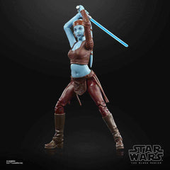 Star Wars The Black Series Episode II Aayla Secura - Smalltinytoystore