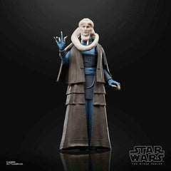 Star Wars The Black Series Episode VI 40th Anniversary Bib Fortuna 15 cm - Smalltinytoystore