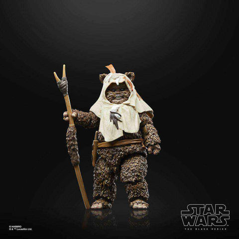 Star Wars The Black Series Episode VI 40th Anniversary Paploo - Smalltinytoystore