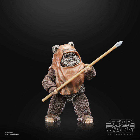 Star Wars The Black Series Episode VI 40th Anniversary Wicket 15 cm - Smalltinytoystore