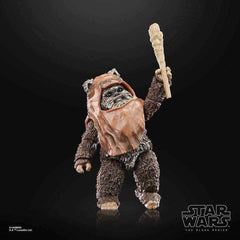 Star Wars The Black Series Episode VI 40th Anniversary Wicket 15 cm - Smalltinytoystore