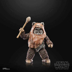 Star Wars The Black Series Episode VI 40th Anniversary Wicket 15 cm - Smalltinytoystore