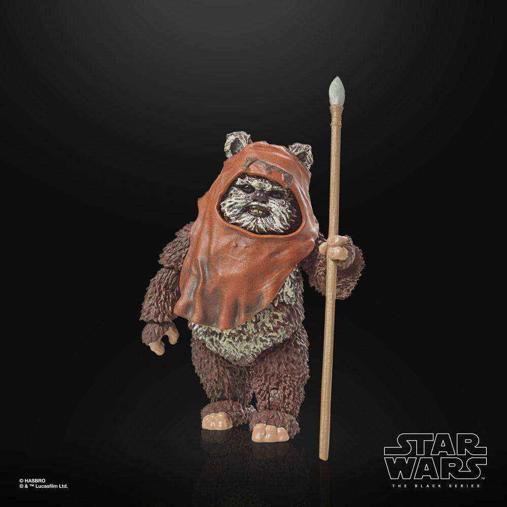 Star Wars The Black Series Episode VI 40th Anniversary Wicket 15 cm - Smalltinytoystore