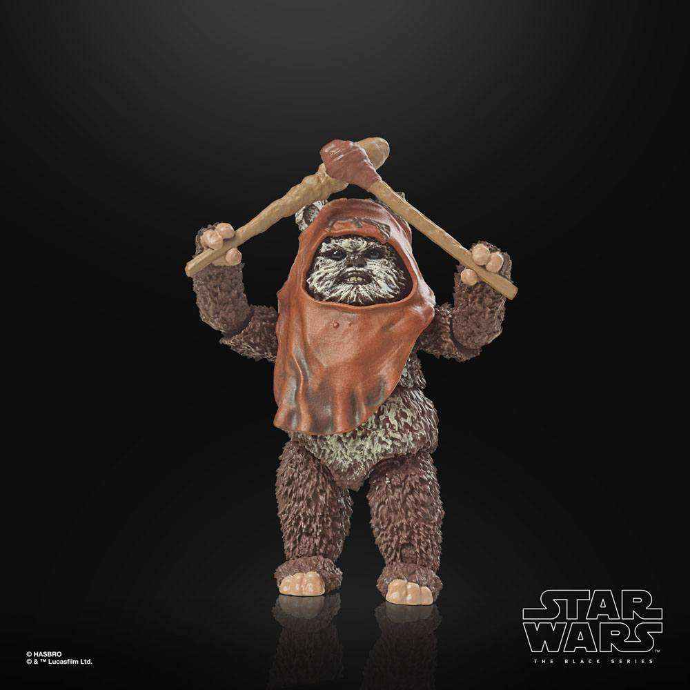 Star Wars The Black Series Episode VI 40th Anniversary Wicket 15 cm - Smalltinytoystore