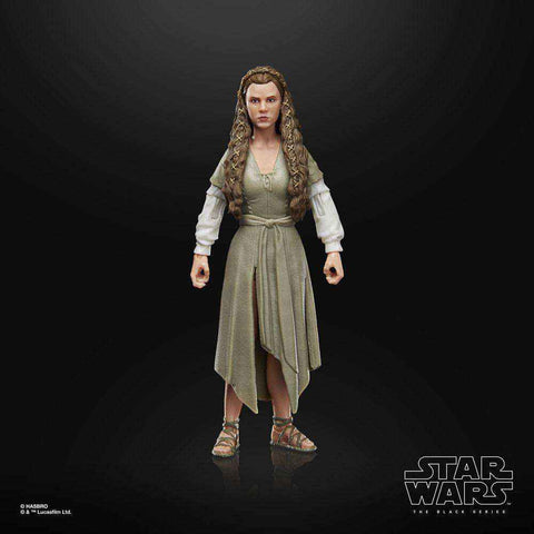 Star Wars The Black Series Episode VI 40th Princess Leia (Ewok Village) - Smalltinytoystore