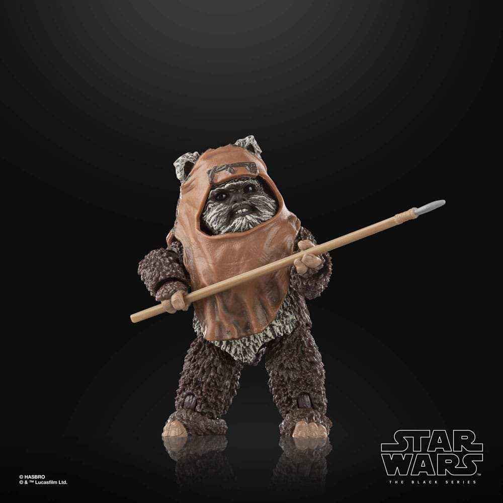 Star Wars The Black Series Episode VI Wicket - Smalltinytoystore