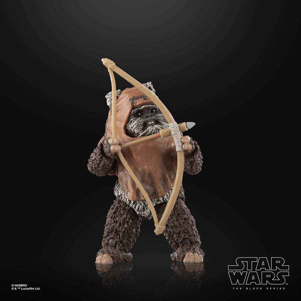 Star Wars The Black Series Episode VI Wicket - Smalltinytoystore