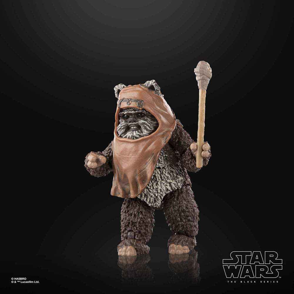 Star Wars The Black Series Episode VI Wicket - Smalltinytoystore