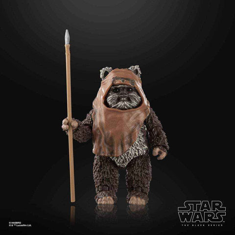 Star Wars The Black Series Episode VI Wicket - Smalltinytoystore