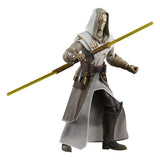 Star Wars: The Clone Wars Black Series Actionfigur Jedi Temple Guard 15 cm - Smalltinytoystore