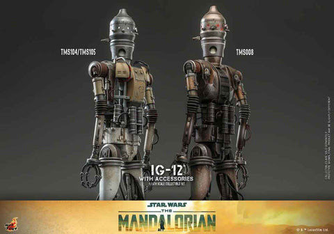 Star Wars The Mandalorian 1/6 IG-12 mit Zubehör 36 cm - Smalltinytoystore