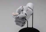 Takahiro Kagami PVC Artist Support Item Hand 1/1 Model Men /L Gray 22 cm - Smalltinytoystore