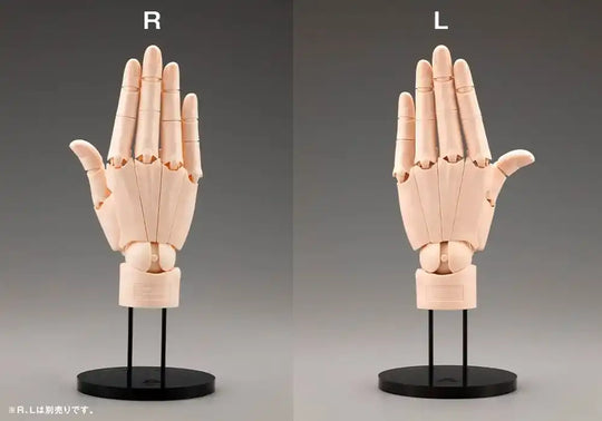 Takahiro Kagami PVC Artist Support Item Hand 1/1 Model/L Pale Orange 21 cm - Smalltinytoystore