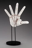 Takahiro Kagami PVC Artist Support Item Hand 1/1 Model/R White 21 cm
