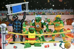 Teenage Mutant Ninja Turtles (Archie Comics) 4er-Pack Stump Wrestling Turtles 18 cm - Smalltinytoystore
