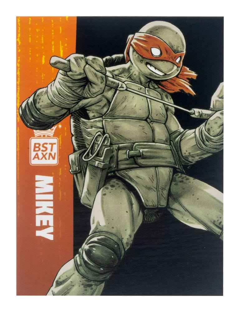 Teenage Mutant Ninja Turtles BST AXN 4er-Pack Black&White (IDW Comics) 13 cm - Smalltinytoystore