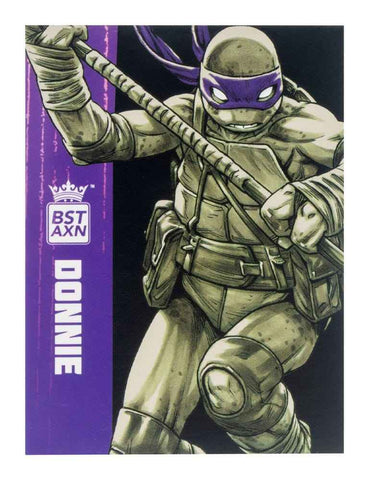 Teenage Mutant Ninja Turtles BST AXN 4er-Pack Black&White (IDW Comics) 13 cm - Smalltinytoystore