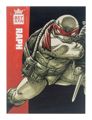 Teenage Mutant Ninja Turtles BST AXN 4er-Pack Black&White (IDW Comics) 13 cm - Smalltinytoystore