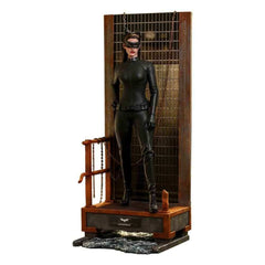 The Dark Knight Trilogy Movie Masterpiece 1/6 Catwoman 29 cm - Smalltinytoystore