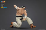 The King Of Fighters '98 Actionfigur Hero Team Goro Daimon 12 cm - Smalltinytoystore