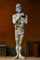 Universal Monsters Toony Terrors Actionfiguren 15 cm Series 10 Sortiment (12) - Smalltinytoystore