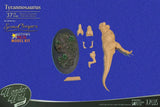 Wonders of the Wild Resin Model Kit T-Rex 37 cm - Smalltinytoystore
