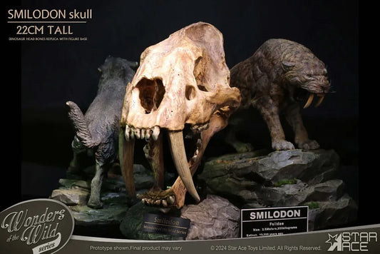 Wonders of the Wild Series Statue Smilodon Skull Fossil 22 cm - Smalltinytoystore