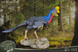 Wonders of the Wild Statue Oviraptor Normal Ver. 32 cm - Smalltinytoystore