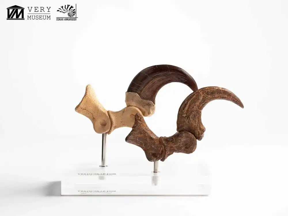 Jurassic Park ECC Elite Creature Line Statue Velociraptor Foot Claw and Fossil Claw Set 20 cm