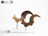 Jurassic Park ECC Elite Creature Line Statue Velociraptor Foot Claw and Fossil Claw Set 20 cm
