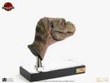 The Lost World: Jurassic Park Replik 1/1 Junior T-Rex Prop (Reproduction) 39 cm