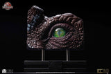 Jurassic Park III Replik Spinosaurus Eye Prop (Reproduction) 39 cm