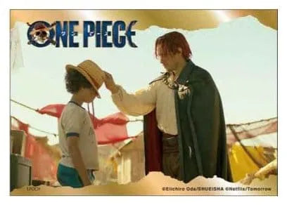 One Piece Mystery Mini-Puzzle Display (8)
